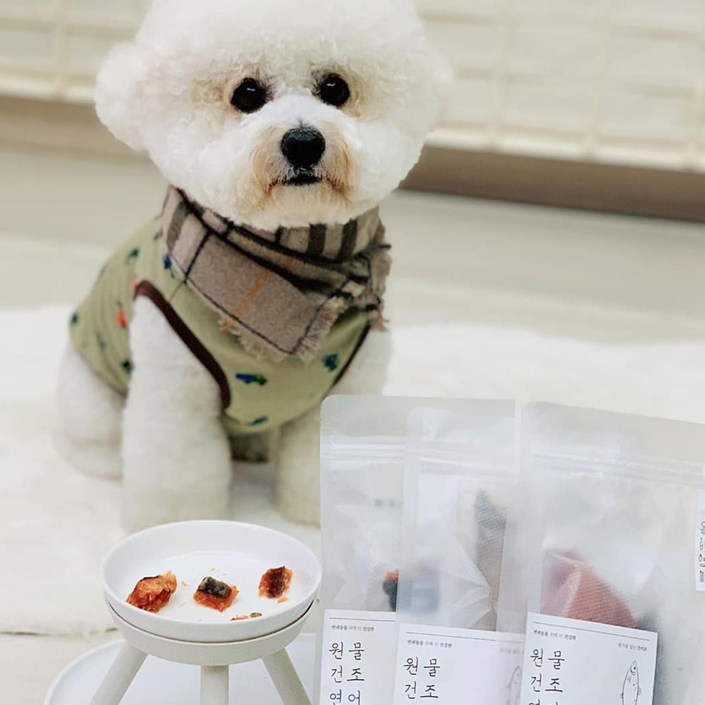 동해형씨 원물건조 연어 수제간식 85g 이미지 2