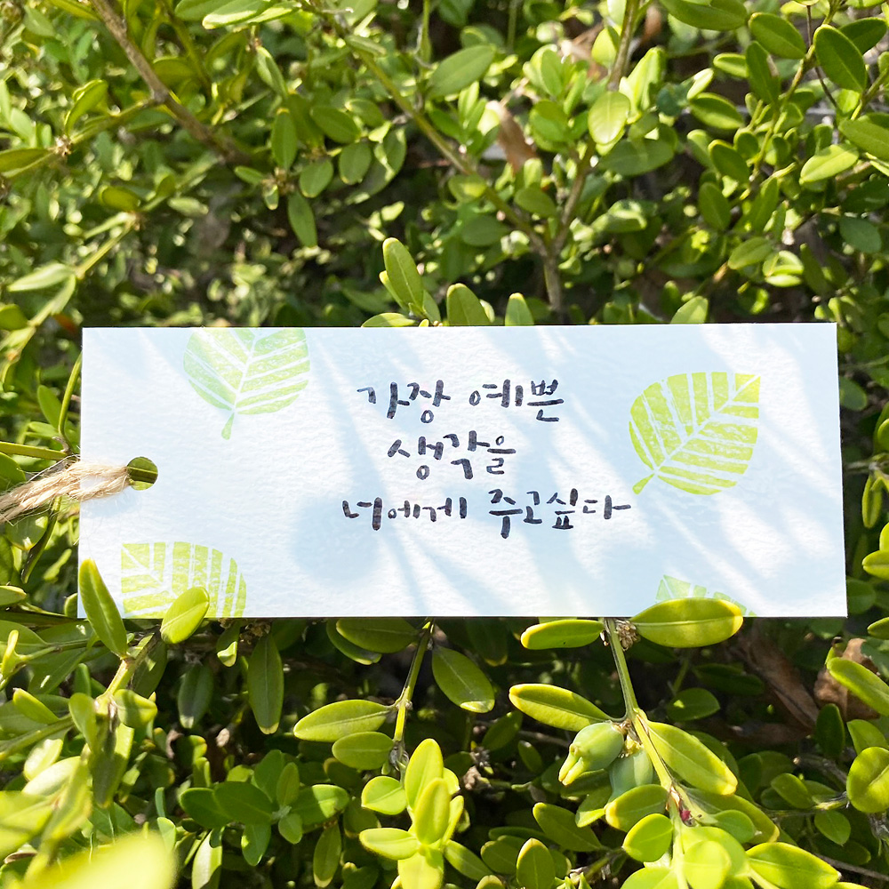 책갈피 만들기 diy 재료 머메이드지 시트지 재료 캘리그라피 압화 - 상세 이미지 3