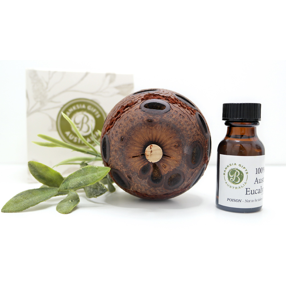 [방크시아 기프트] 방크시아&유칼립투스 오일세트 (Banksia Pot & Eucalyptus Oil Set) - 상품 이미지