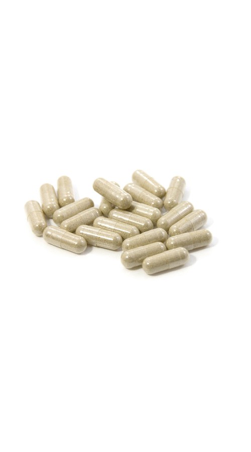 라이프스팬 뉴질랜드 초록입홍합 분말 (20000mg 200캡슐) x5개 1세트 초록잎홍합 - 상세 이미지 2