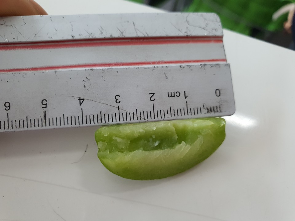 깐매실 쪼갠매실 씨뺀매실 씨제거매실 매실 당일작업 1kg 3kg 이미지 4