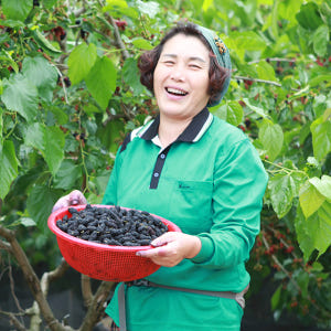 햇 오디 토종 청일오디 과상오디 생과급냉 맛있게 먹은 솔직 후기 - 상품 이미지 1
