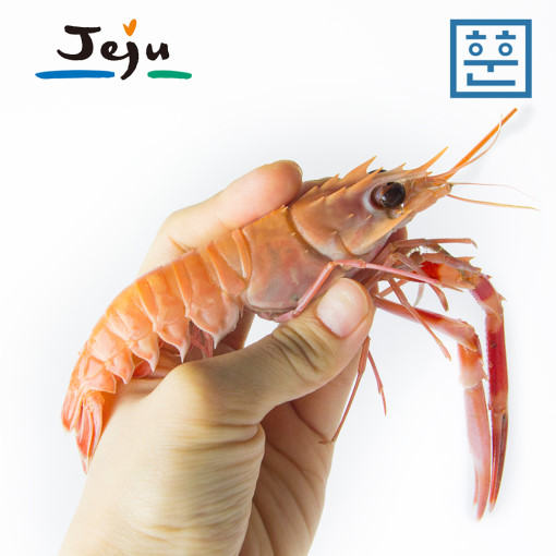 훈훈수산 딱새우회 제주도 자연산 딱새우 1팩/ 1kg