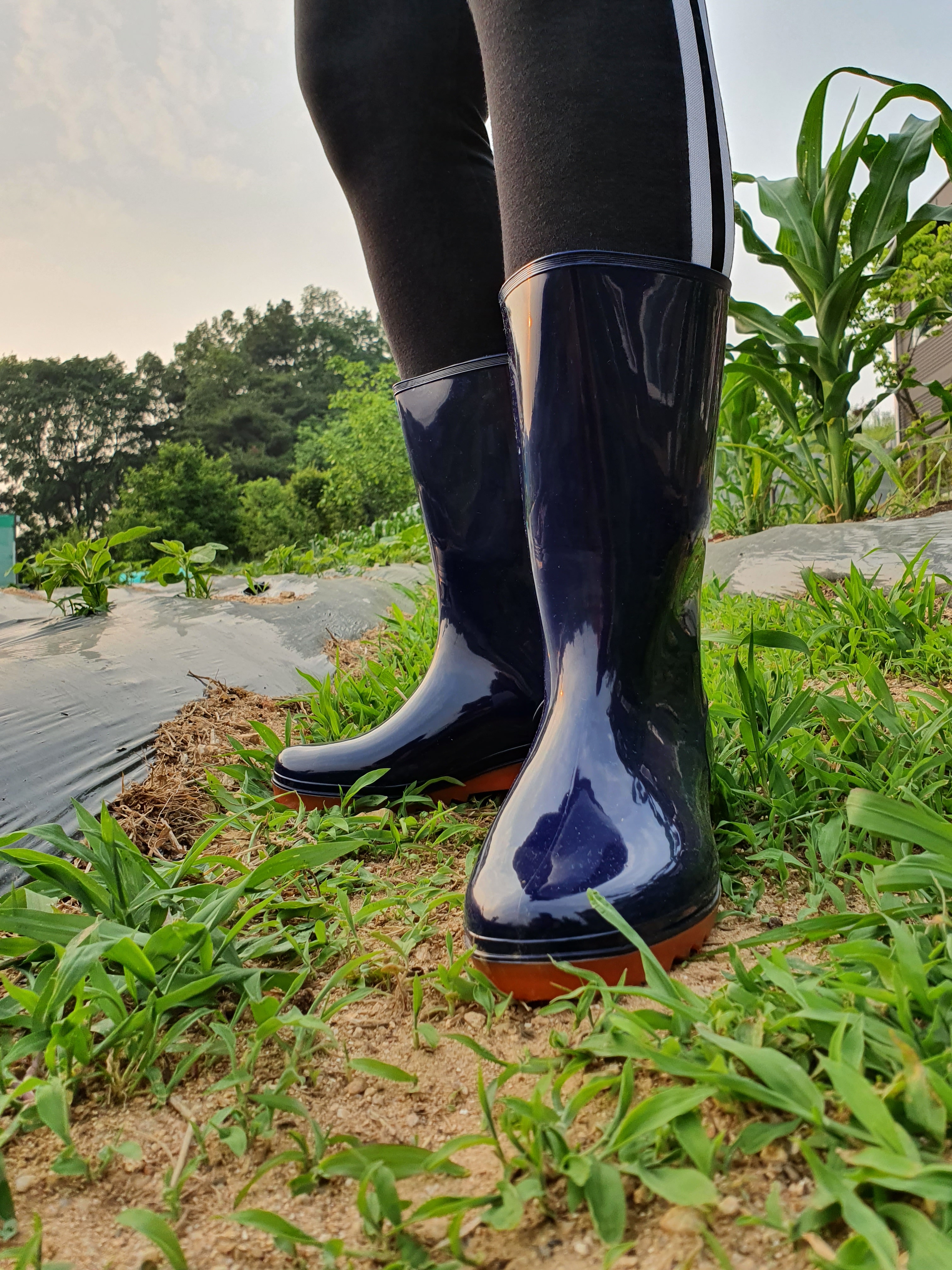 고무장화 해루질 갯벌 농사 낚시장화 방한장화 이미지 4