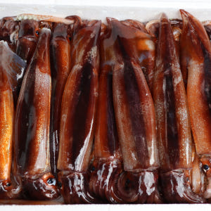 주문진 당일조업 산오징어 냉동 선동 생물 활 초코 오징어회 숙회 무늬 오... 맛있게 먹은 솔직 후기 - 상품 이미지 3