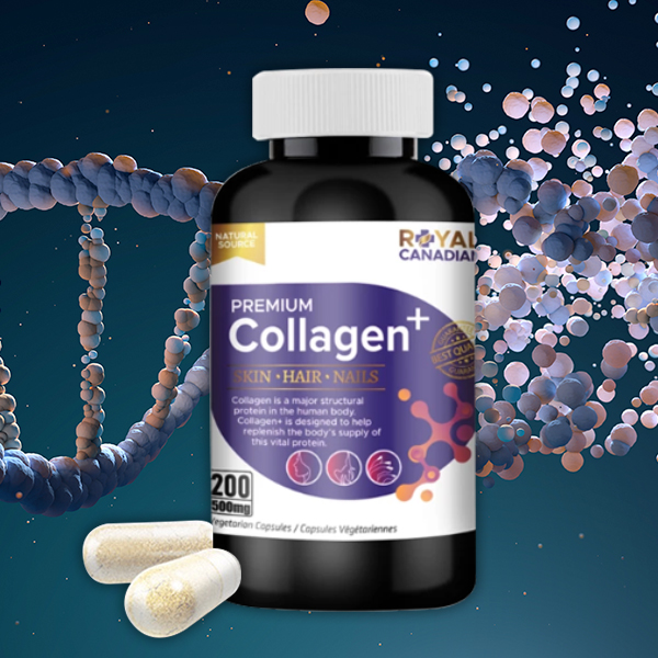 캐나다 초 저분자 먹는 콜라겐 500mg 100일분 청정 알래스카 피쉬 연어 코라겐 - 상품 이미지