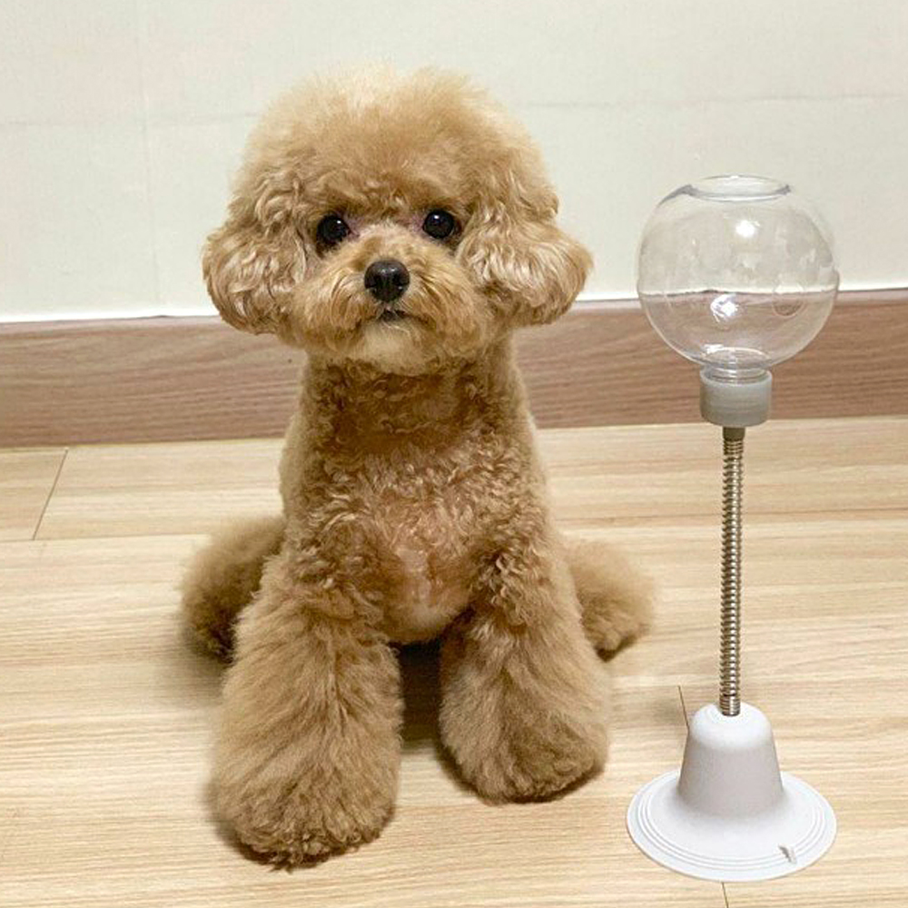 더플래 강아지 노즈워크 고양이 장난감 코박고스윙