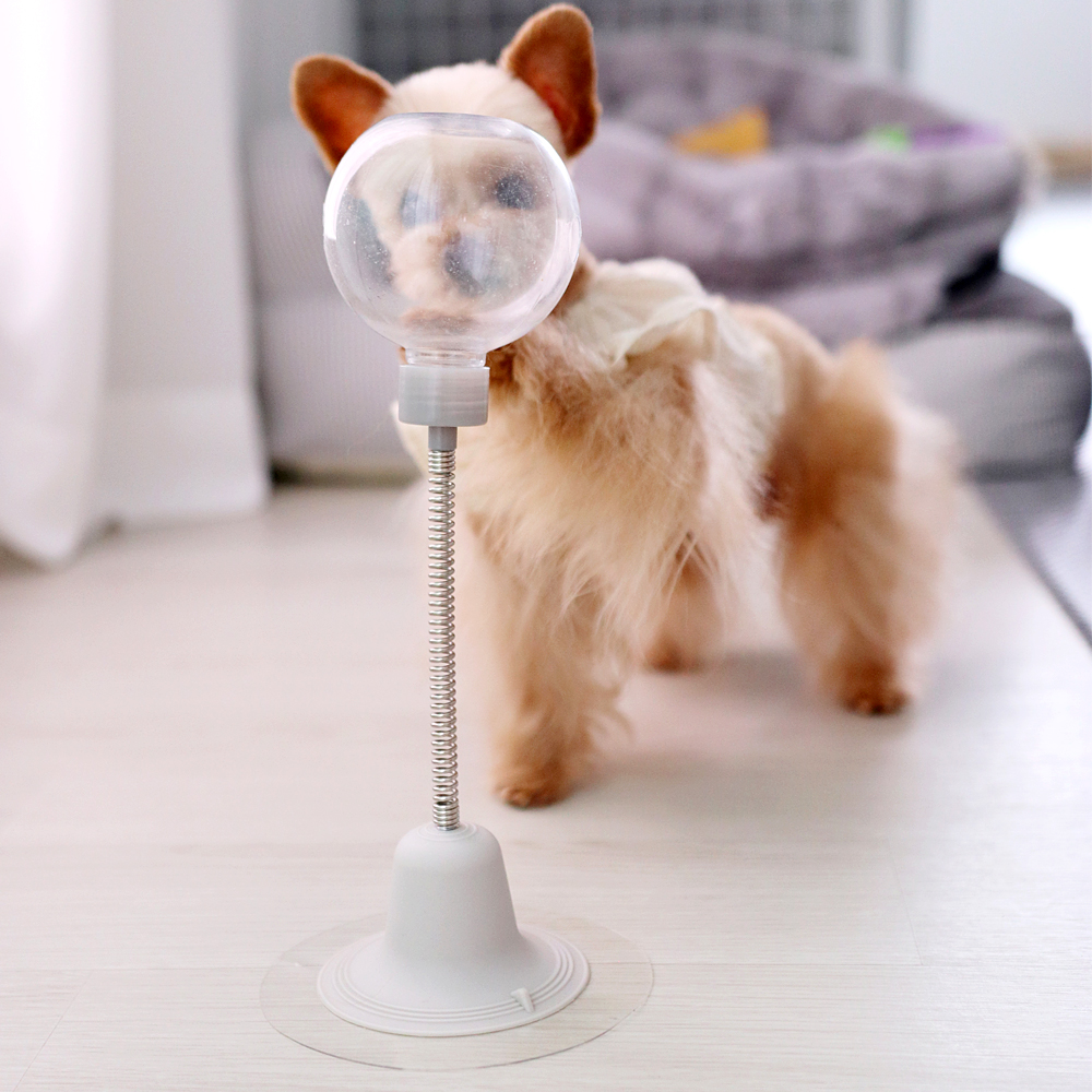 더플래 강아지 노즈워크 고양이 장난감 코박고스윙