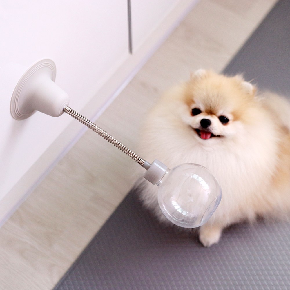 더플래 강아지 노즈워크 고양이 장난감 코박고스윙