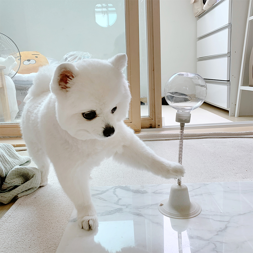 더플래 강아지 노즈워크 고양이 장난감 코박고스윙