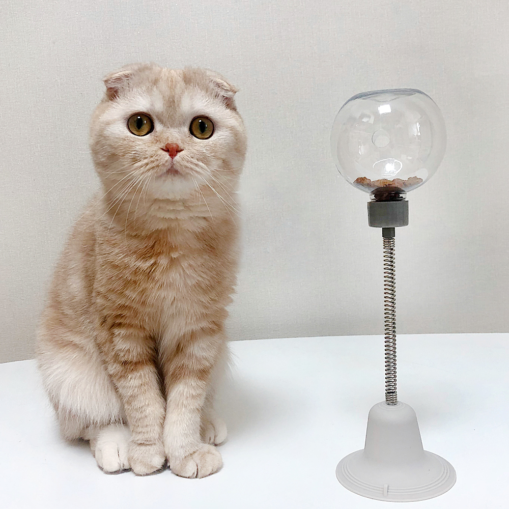 더플래 강아지 노즈워크 고양이 장난감 코박고스윙