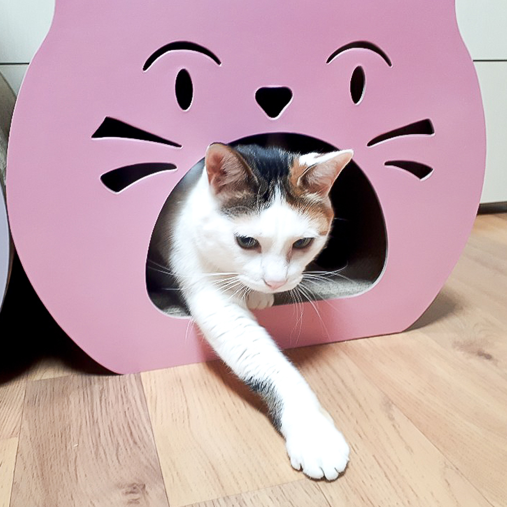 테비토퍼 고양이 얼굴 스크래쳐 크림 - 상세 이미지 3