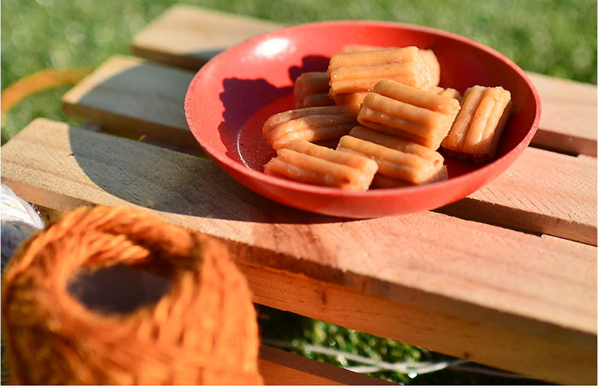 국내제작 건강한 강아지 수제 간식 노견 보양식 소형견 영양식 반려견 간식 당근, 100g, 2개 이미지 2