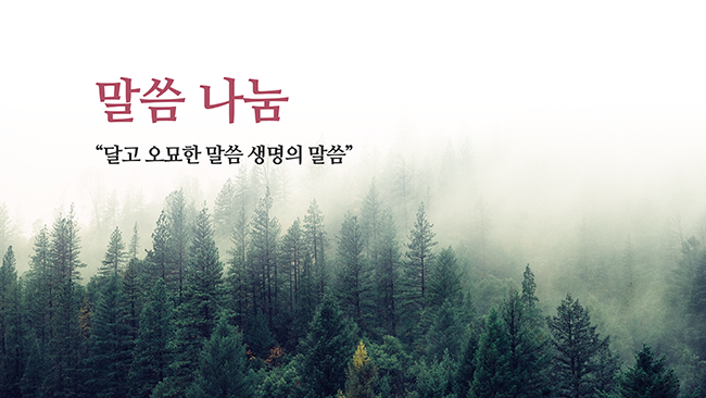 354 교회 예배 ppt 템플릿- 교회 파워포인트 양식 이미지 6