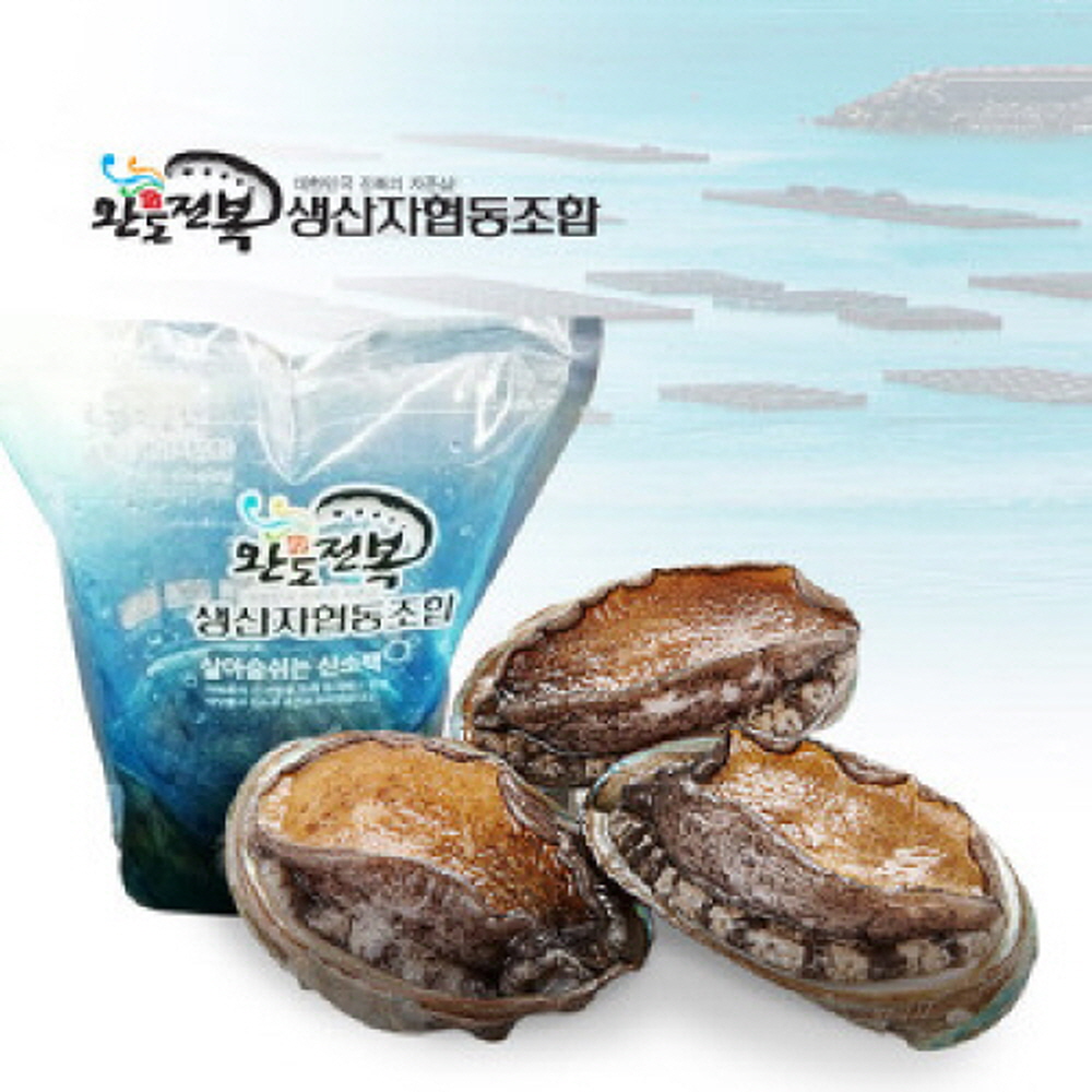 (생산자직송)전남 완도 이용규님의 전복 왕특대 7미 부터 - 상세 이미지 3