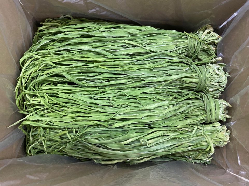 특품 궁채 1kg 줄기상추 궁채나물 궁채장아찌 볶음 궁체 건궁채 식자재마트 청정식자재몰 - 상세 이미지 4