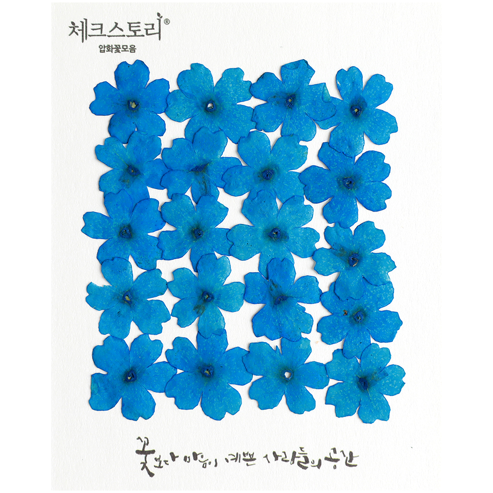 [압화/꽃송이] 버베나 블루(20개) - 상품 이미지