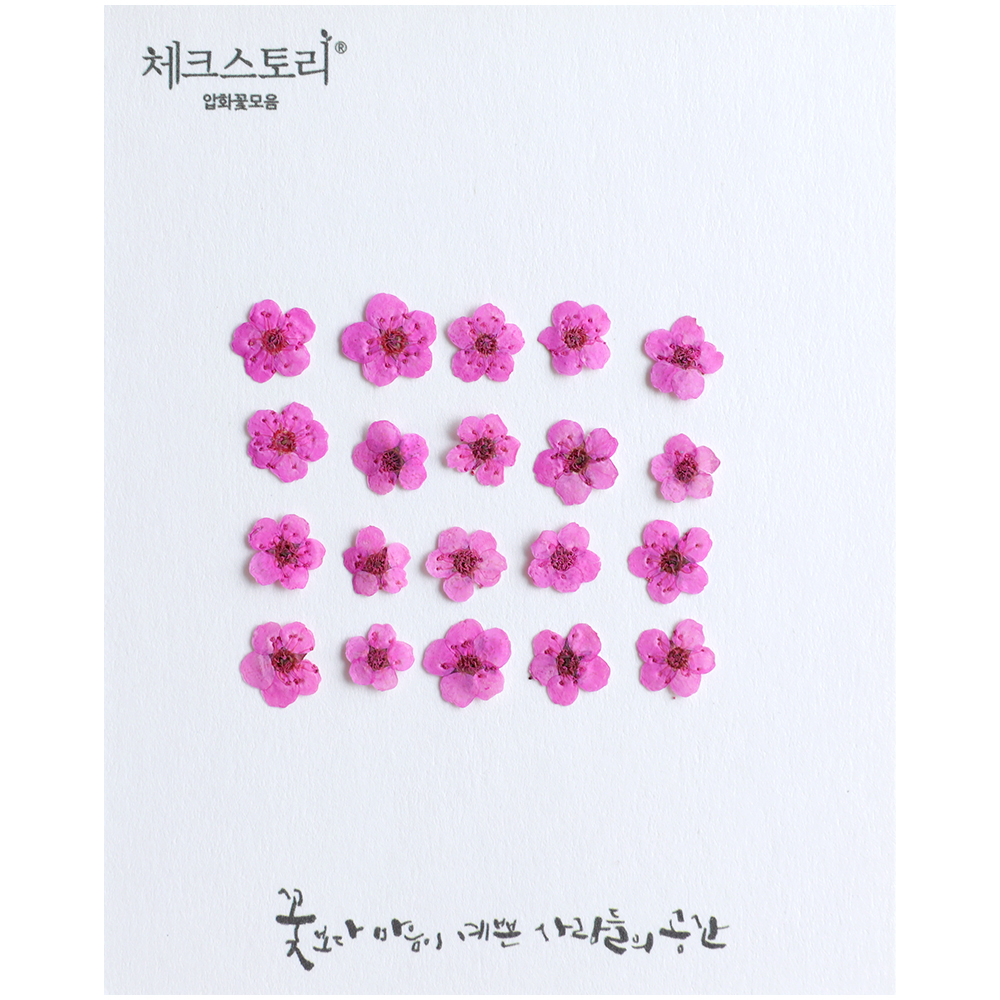 [압화/꽃송이] 조팝 진핑크(20개) 생화네일 조팝 압화 공예 캘리그라피 - 상품 이미지