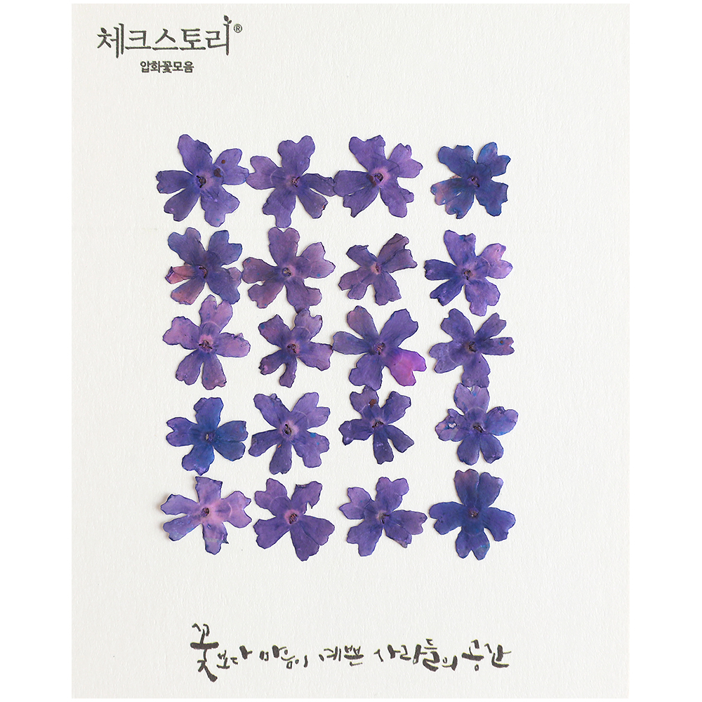 [압화/꽃송이] 버베나 퍼플(소/20개) - 상품 이미지