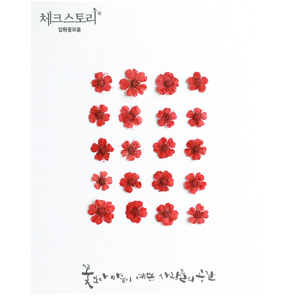 [압화/꽃송이] 조팝 레드(20개) 생화네일 조팝 압화 공예 캘리그라피 - 상품 이미지