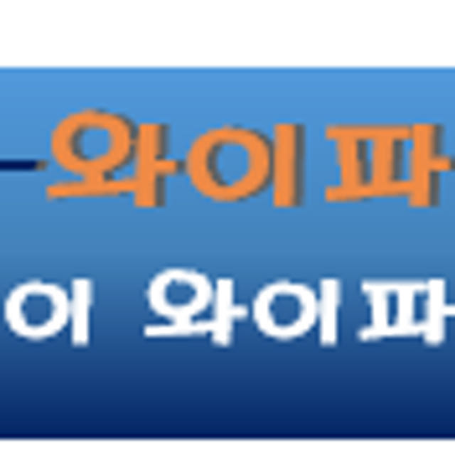 휴대용 와이파이 40GB 무약정 30일 120일 대여