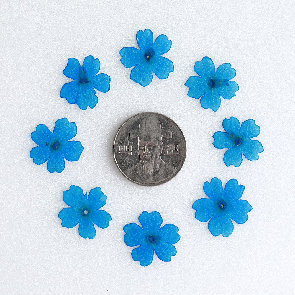 [압화/꽃송이] 버베나 블루(20개) - 상세 이미지 2