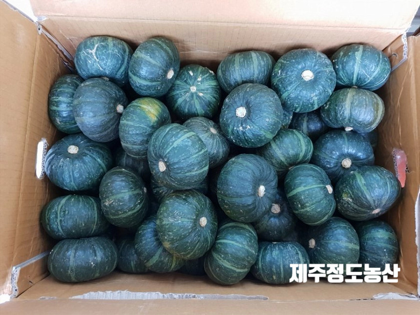 더밤농산 이미지