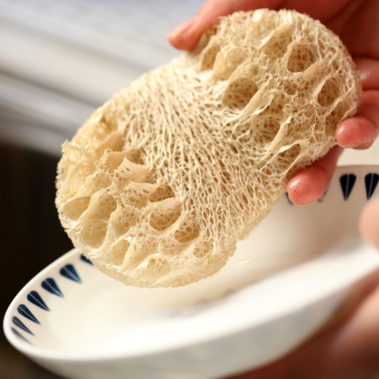 친환경 천연 수세미 루파(Loofah) : 다이렉트스토어