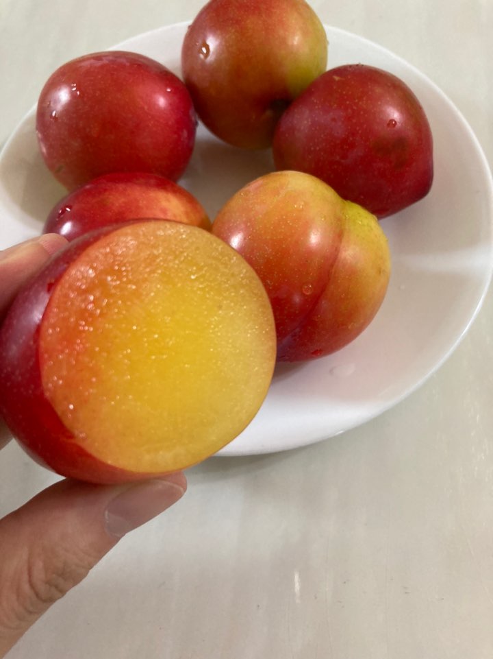 도담 후무사 추희 저탄소 자두 1kg 2kg 3kg 4kg 상 특 영천 군위 의성 특품 - 상세 이미지 3