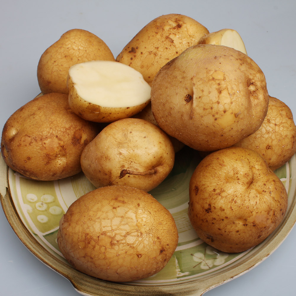 농장직송 수미감자 3kg, 5kg, 10kg(햇감자) - 상세 이미지 4