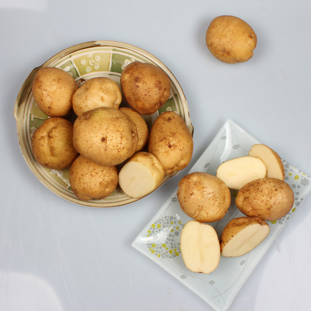 농장직송 수미감자 3kg, 5kg, 10kg(햇감자) - 메인 이미지