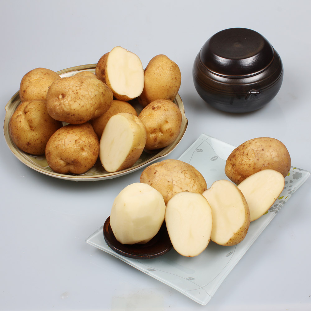농장직송 수미감자 3kg, 5kg, 10kg(햇감자) - 상세 이미지 3