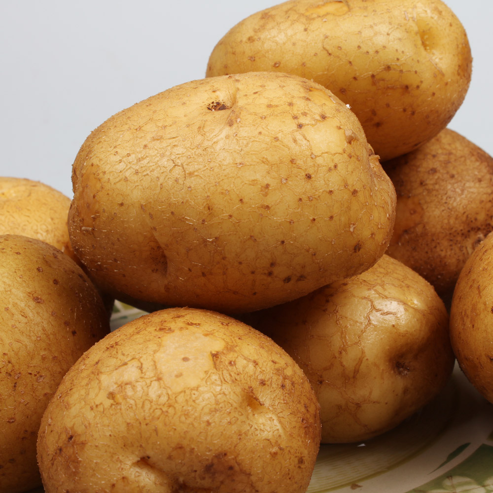 농장직송 수미감자 3kg, 5kg, 10kg(햇감자) 이미지 6