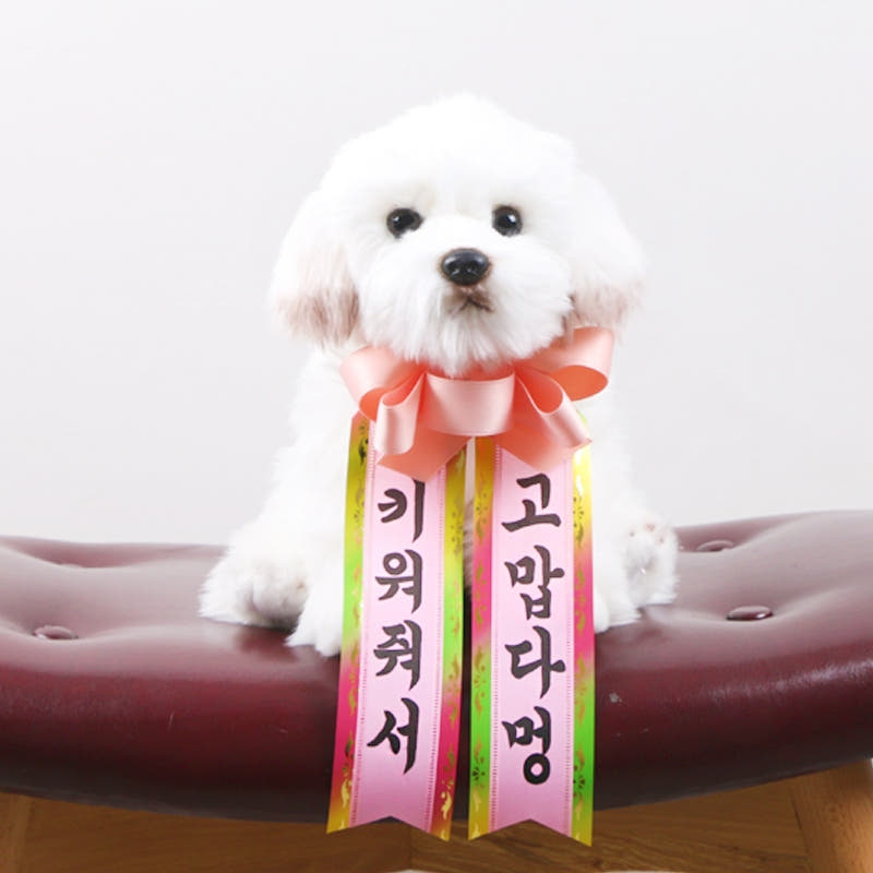 갓샵 GODSHOP 갓샵 인간화환 당일발송 강아지형 소형