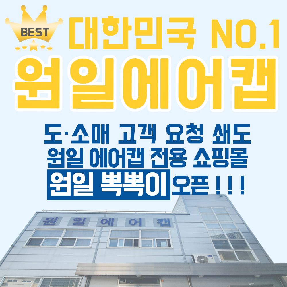 포장뽁뽁이 단열에어캡 50M 4롤 택배 창문 : 원일뽁뽁이