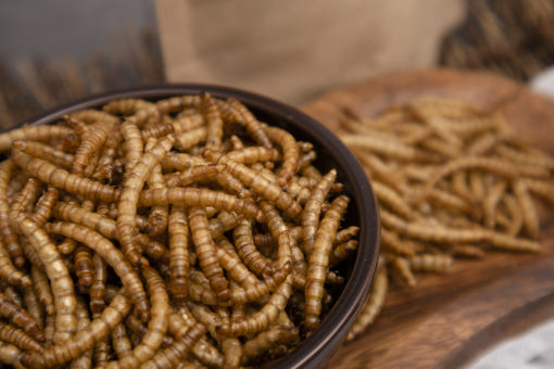 thumbnail-4