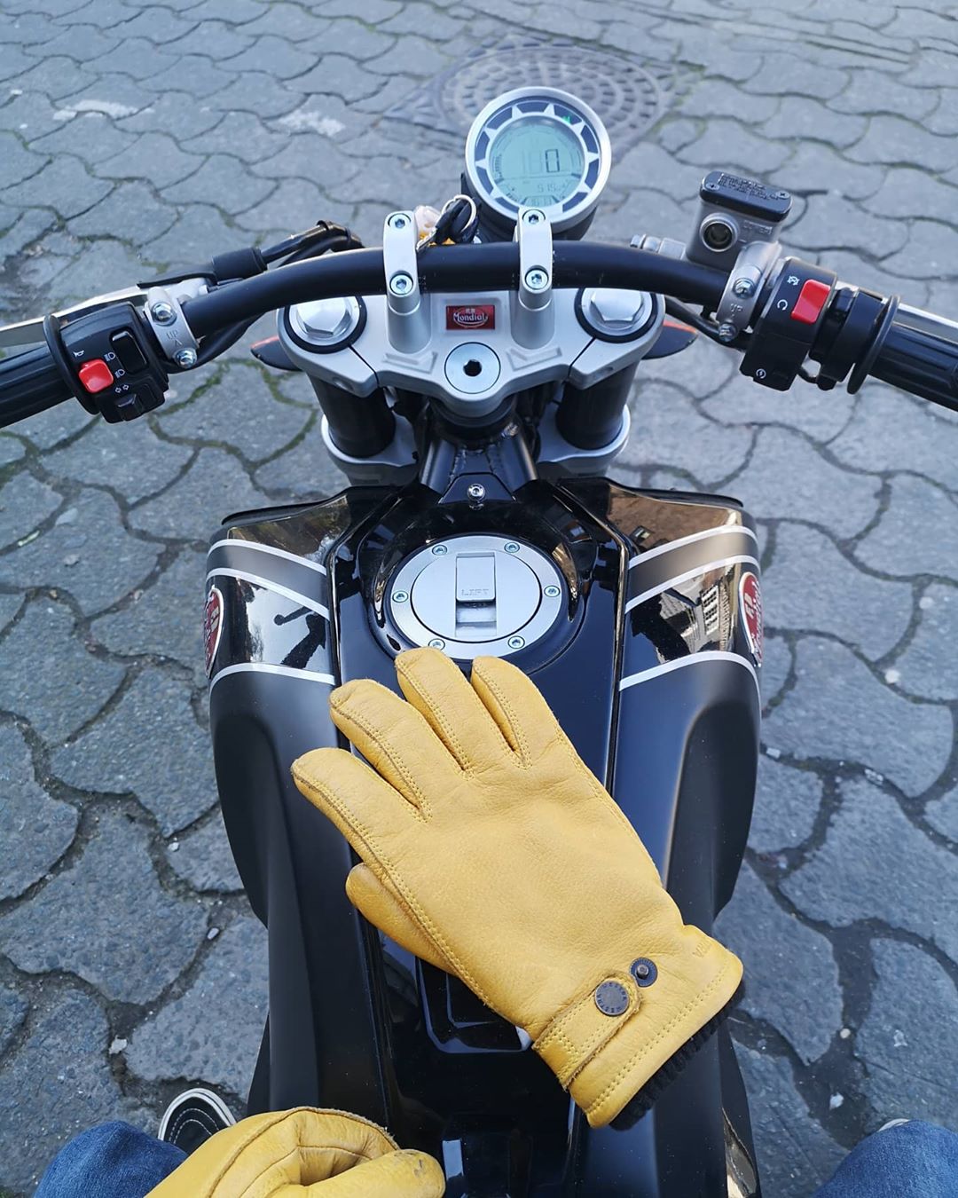 헤스트라 우쪼 체스트넛 20830 760- 남자 남성 방한 엘크 가죽 장갑