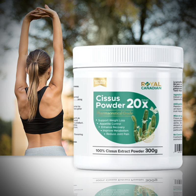 캐나다 시서스 파우더 300g 20배 농축 시저스 CISSUS 가루 씨서스 분말