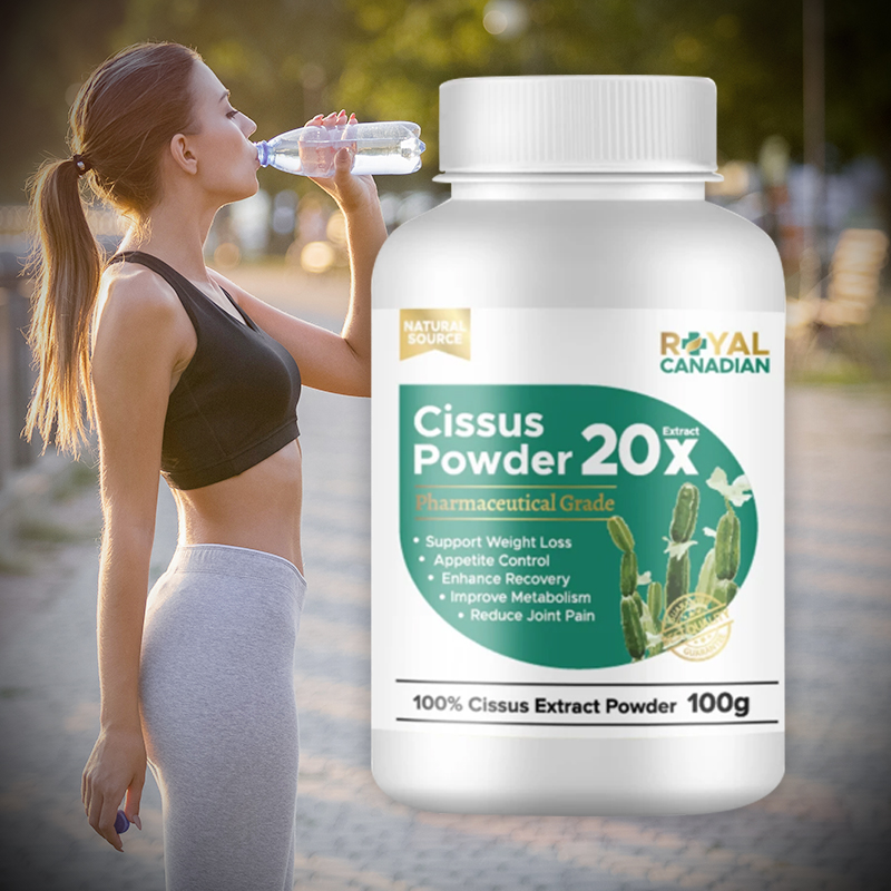 캐나다 20배 고농축 시서스 파우더 100g 씨서스 시저스 CISSUS 가루 분말 보조제