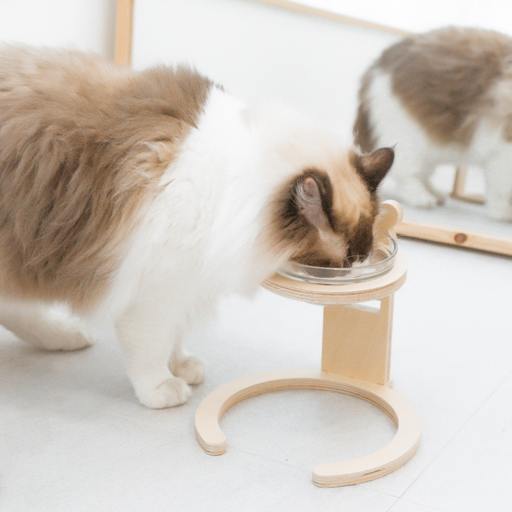 캣돌 강아지 고양이 높이조절 식탁 식기 1구 2구