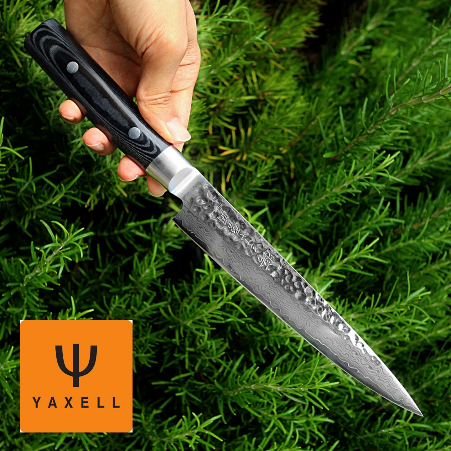 약셀 슬라이서 180mm 젠 다마스쿠스강 스지히키 주방 요리 회칼 슬라이스나이프 - 상품 이미지