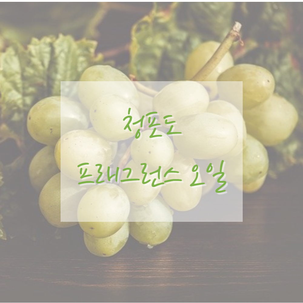 고급 프래그런스오일 캔들 디퓨저 석고방향제 향수 향오일 이미지 7