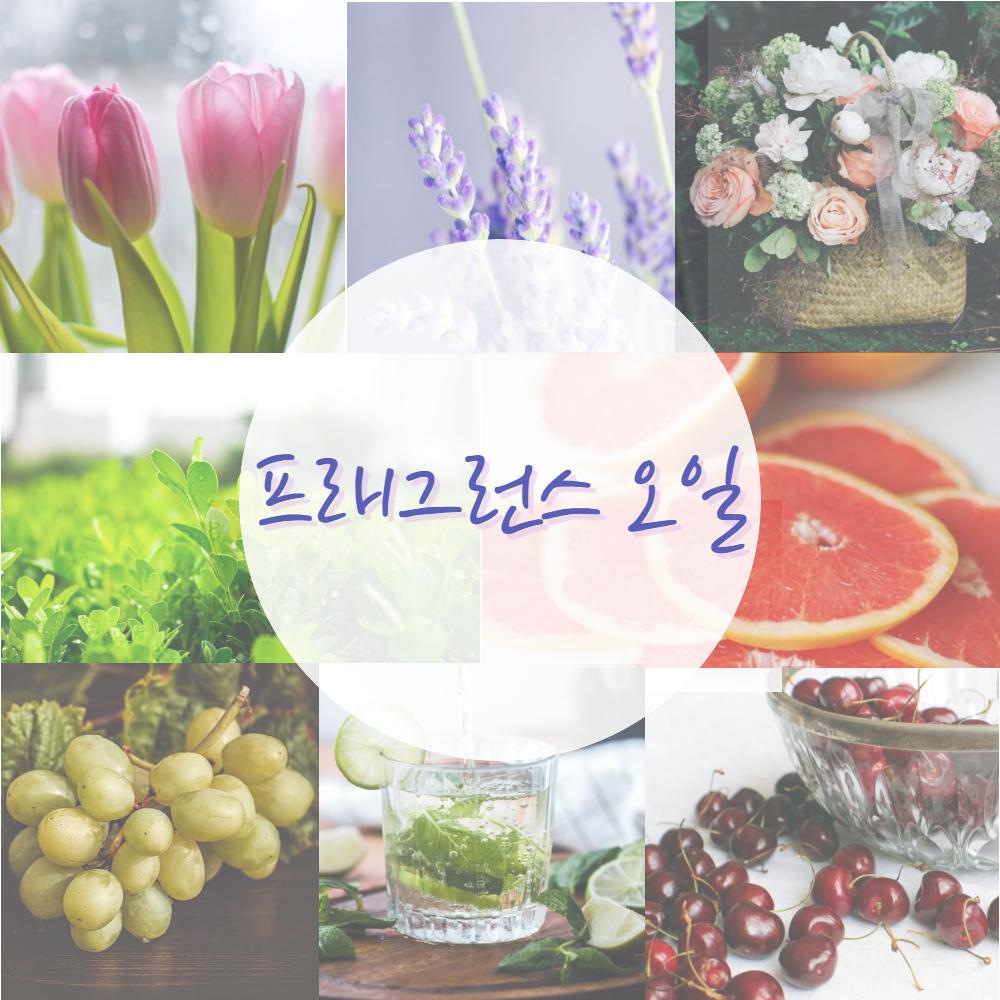 고급 프래그런스오일 캔들 디퓨저 석고방향제 향수 향오일 - 상품 이미지