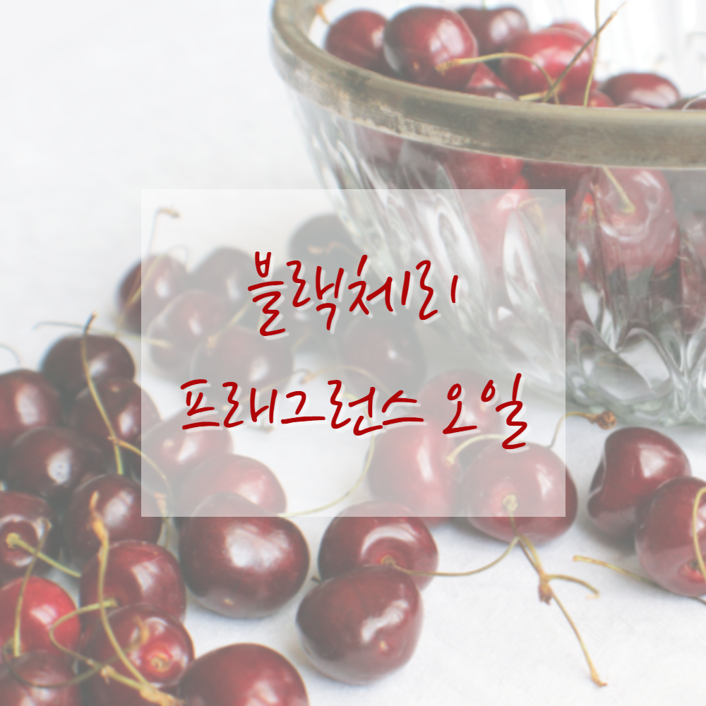 고급 프래그런스오일 캔들 디퓨저 석고방향제 향수 향오일 - 상세 이미지 4