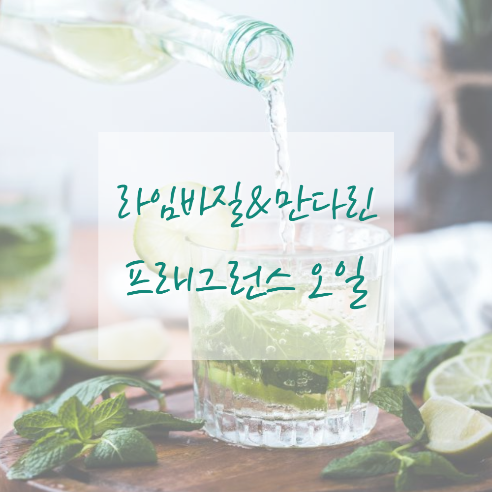 고급 프래그런스오일 캔들 디퓨저 석고방향제 향수 향오일 - 상세 이미지 2