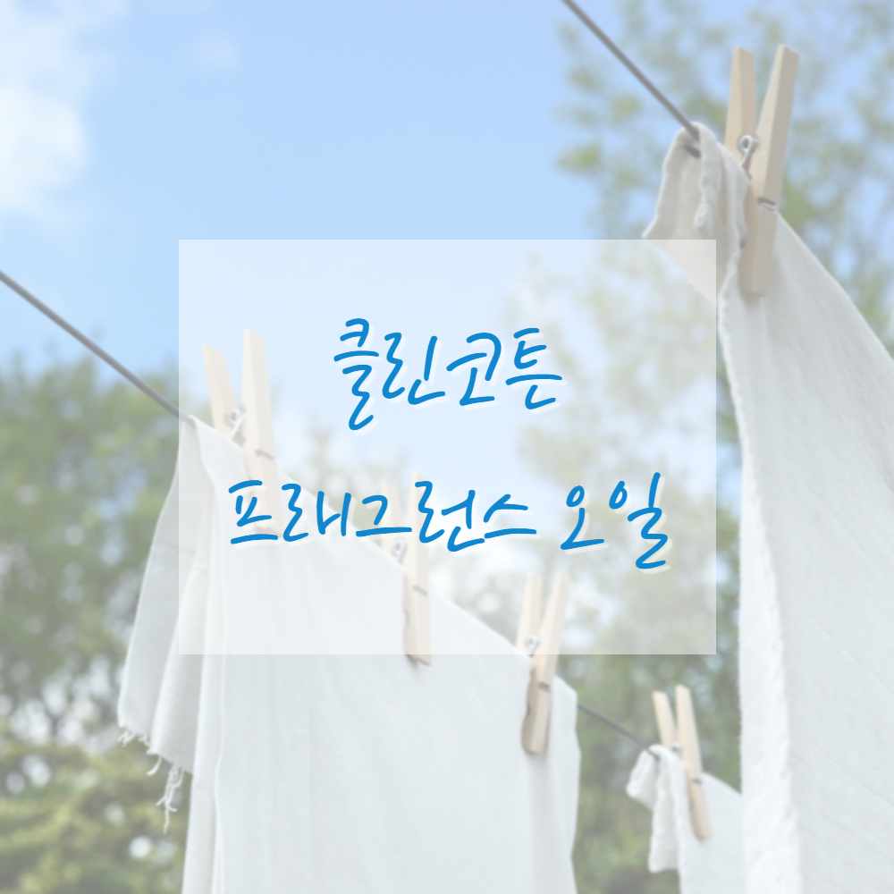 고급 프래그런스오일 캔들 디퓨저 석고방향제 향수 향오일 이미지 8