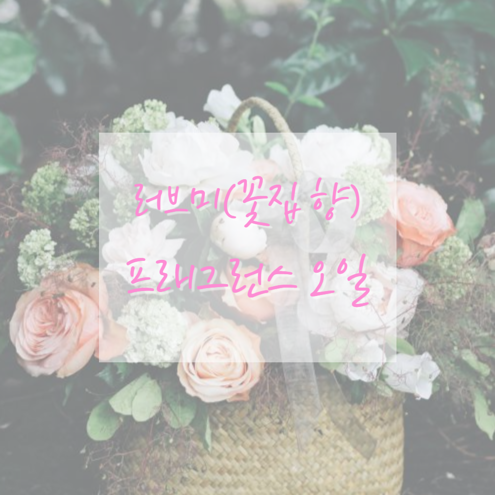 고급 프래그런스오일 캔들 디퓨저 석고방향제 향수 향오일 - 상세 이미지 5