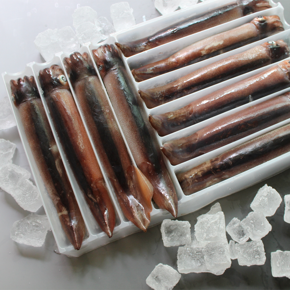 동해 선동 초코 오징어 회 찜