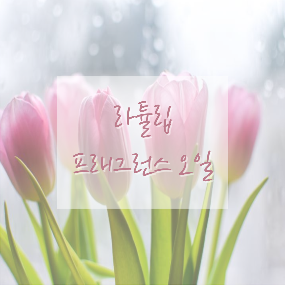 고급 프래그런스오일 캔들 디퓨저 석고방향제 향수 향오일 - 상세 이미지 3