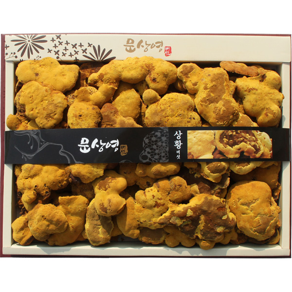 유기농 장수상황버섯 목질진흙버섯 1kg (알뜰용) 효능 - 상세 이미지 2